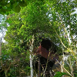 https://greens-tree-house-wood-house.kerala-hotels.net